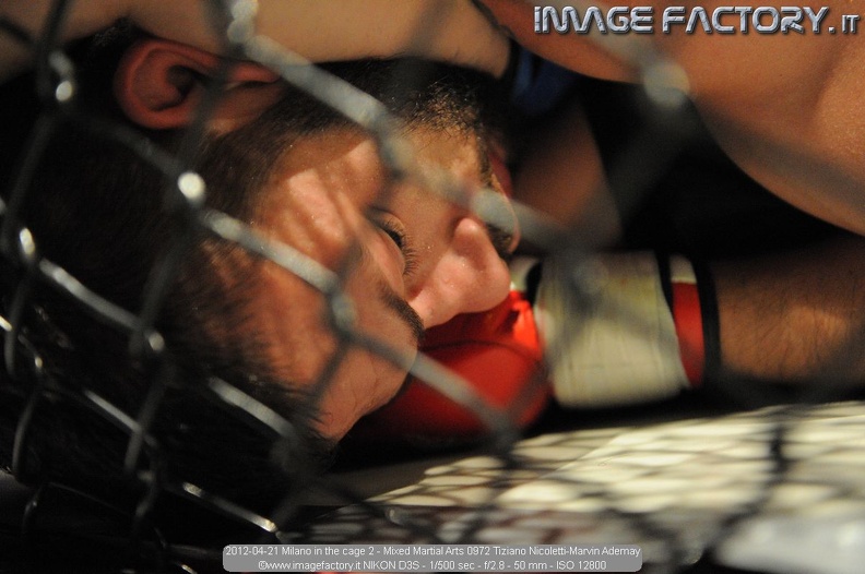 2012-04-21 Milano in the cage 2 - Mixed Martial Arts 0972 Tiziano Nicoletti-Marvin Ademay.jpg